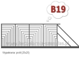 Wzór B19